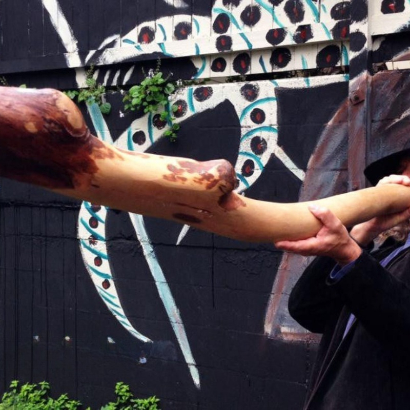 Musical Instrument Didgeridoo - オーストラリアから輸入された楽器、G調のディジェリードゥ、シロアリが穴を掘ったユーカリの珍しい木製楽器