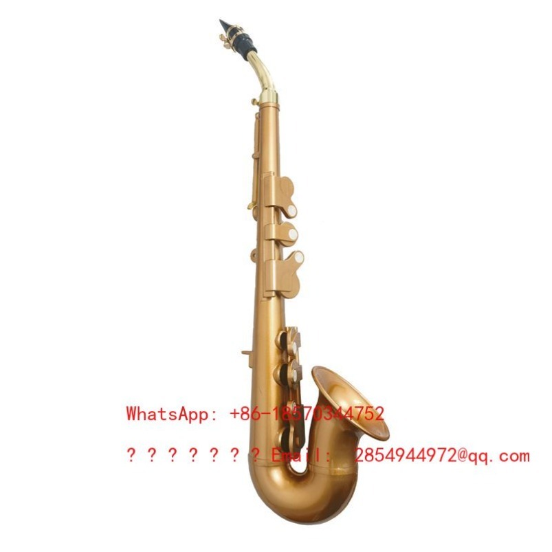 樹脂製サックス楽器 B♭調 F調 中級者向け 軽量で学びやす - Musical Instrument Easy To Learn For Adults のレビューと価格