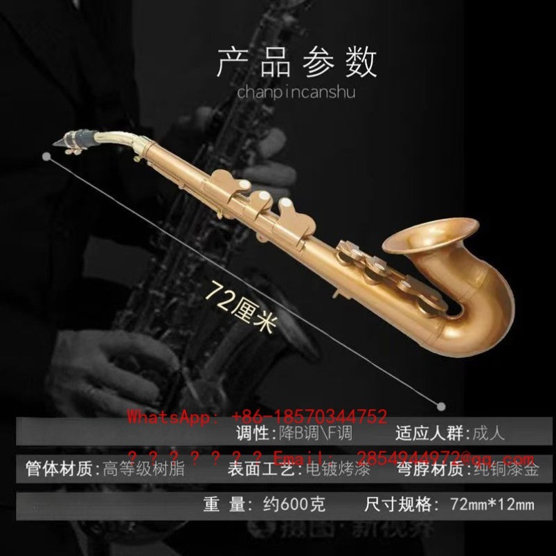 樹脂製サックス楽器 B♭調 F調 中級者向け 軽量で学びやす - Musical Instrument Easy To Learn For Adults のレビューと価格