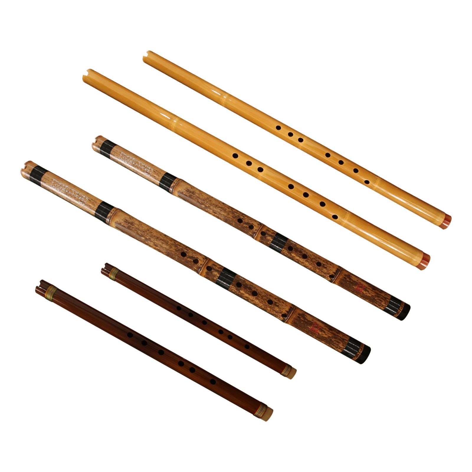 フルート クラシック楽器 木管楽器 ヴィンテージ 初心者向け - Musical Instrument Easy To Learn For Adults のレビューと価格