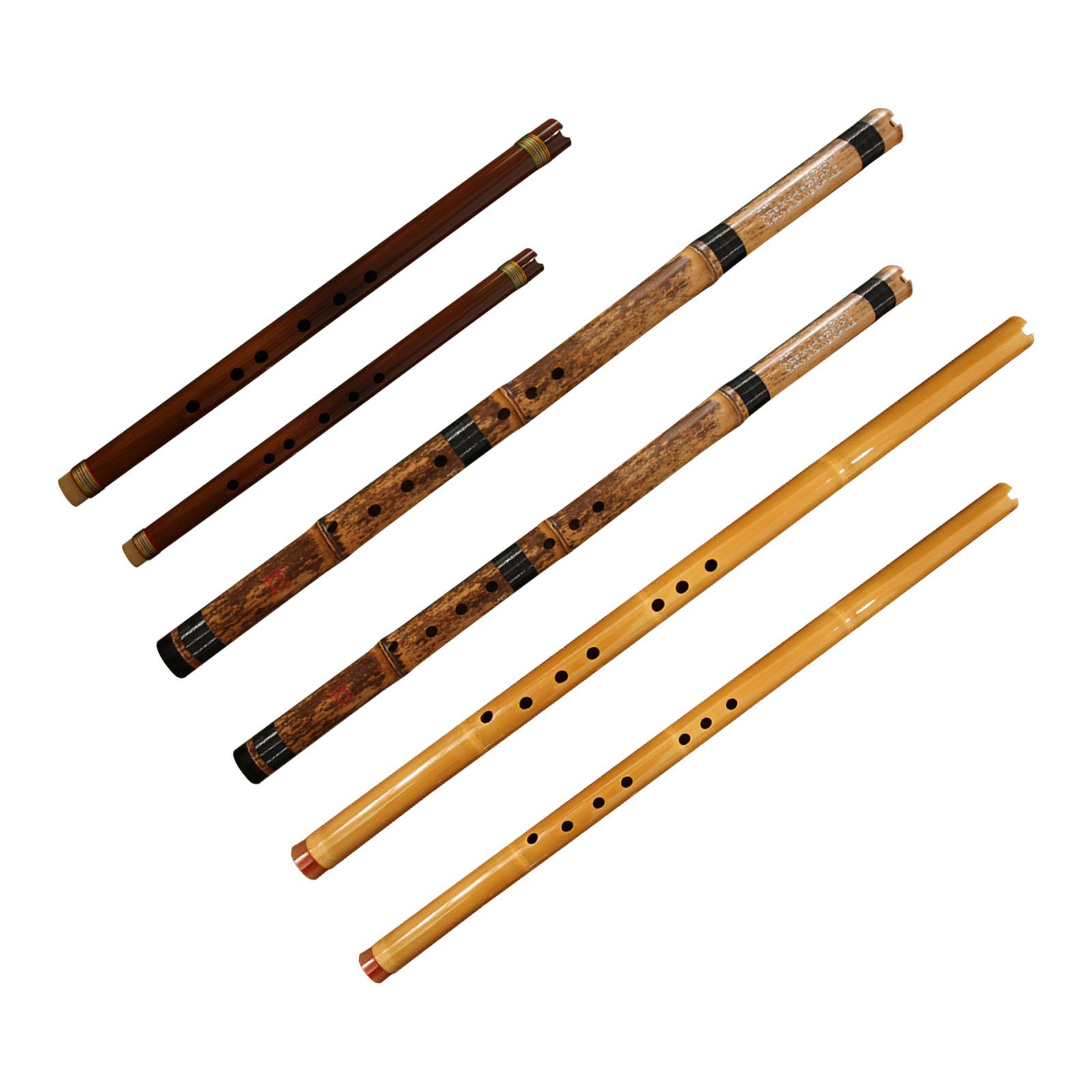 フルート クラシック楽器 木管楽器 ヴィンテージ 初心者向け - Musical Instrument Easy To Learn For Adults のレビューと価格